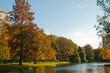 automne dans un parc de Bruxelles