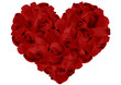 love roses