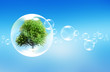 Tree in a bubble