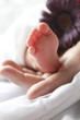 Babyfuesse mit Hand und Blume lila