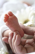 Babyfuesse mit Hand und Blume weiß 2