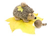 Toy hedgehog on maple leaves.