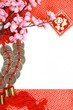 Chinese New Year Decoration