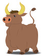 bull