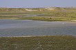 View at Het Zwin reservation, Belgium