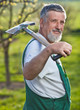 portrait of a senior man gardening in his garden