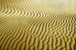 Sahara palmistry