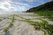 Grande Anse auf La Digue