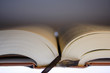 IMG_3177 livre