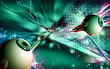 Eye