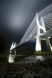 Ponte Vasco da Gama Ponte Vasco da Gama