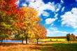 Photo: Autumn landscape Autumn landscape