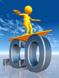 CO Top Level Domain of Colombia