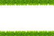 Grass frame isolated