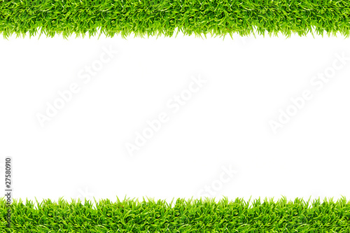 Photo: Grass frame isolated Grass frame isolated