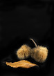 castagne