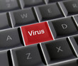 Virus