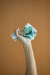 Holding euros