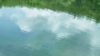 池に写る新緑の木々と雲と波紋