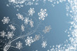 Eisblumen auf Blau