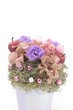 preserved flowers
