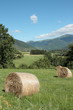 Ballot de paille,Pyrénées audoises