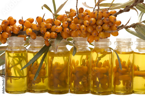 Foto: Oil of sea-buckthorn berries. Oil of sea-buckthorn berries.