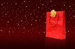 Shopping Natalizio