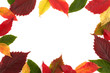 Colorful Autumn Framing Colorful Autumn Framing