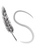 feather writing