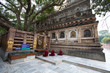 Meditation under the sacred Bodhi tree: Bodhgaya
