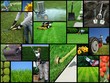 landscaping company