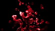 Blut - Animation