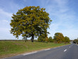 Bord route