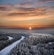 Christmas winter forest Christmas winter forest