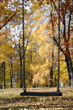 Foto: Verlassene Schaukel im Park Verlassene Schaukel im Park