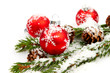 Tannenzweig Schnee Hintergrund