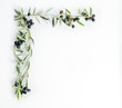 Olive Branch Frame Copyspace