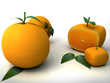 Genetisch veränderte Orange