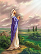 Virgin Mary Virgin Mary