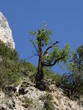 Parque nacional de Ordesa en los Pirineos Parque nacional de Ordesa en los Pirineos