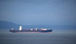 Red and Black Container Ship
