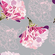Pattern flower Zinnia