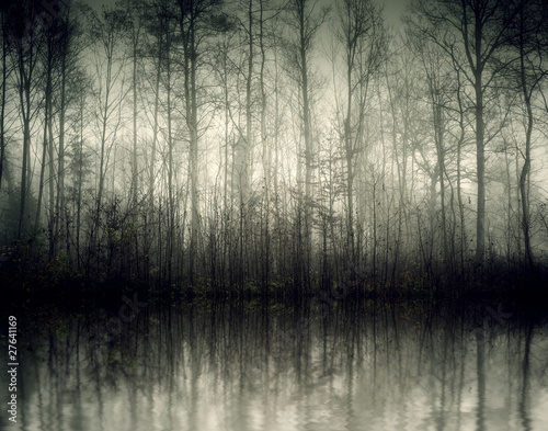 Foto: nebel nebel