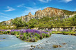 Clay Cliffs Scenic Reserve