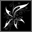 abstract flourish element abstract flourish element