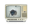 smashed television
