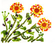 Flowers from slices of vegetables Flowers from slices of vegetables