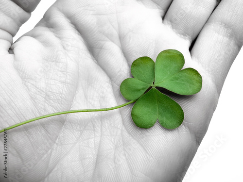 Photo: clover in the hand clover in the hand
