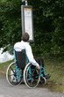 Handicap Bus